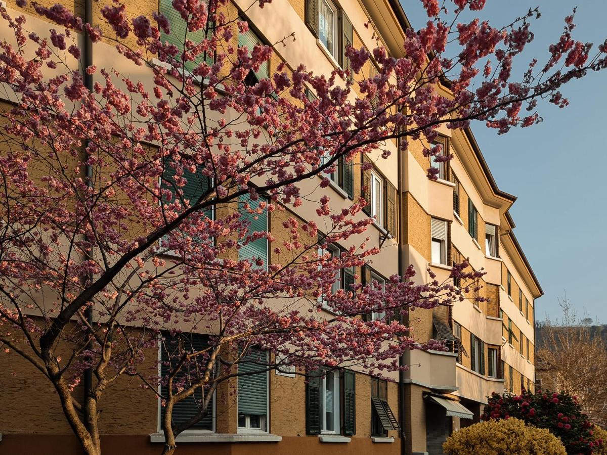 Central Suite Meran Buitenkant foto